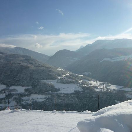 Garni Kircher Sepp Barbiano  Esterno foto