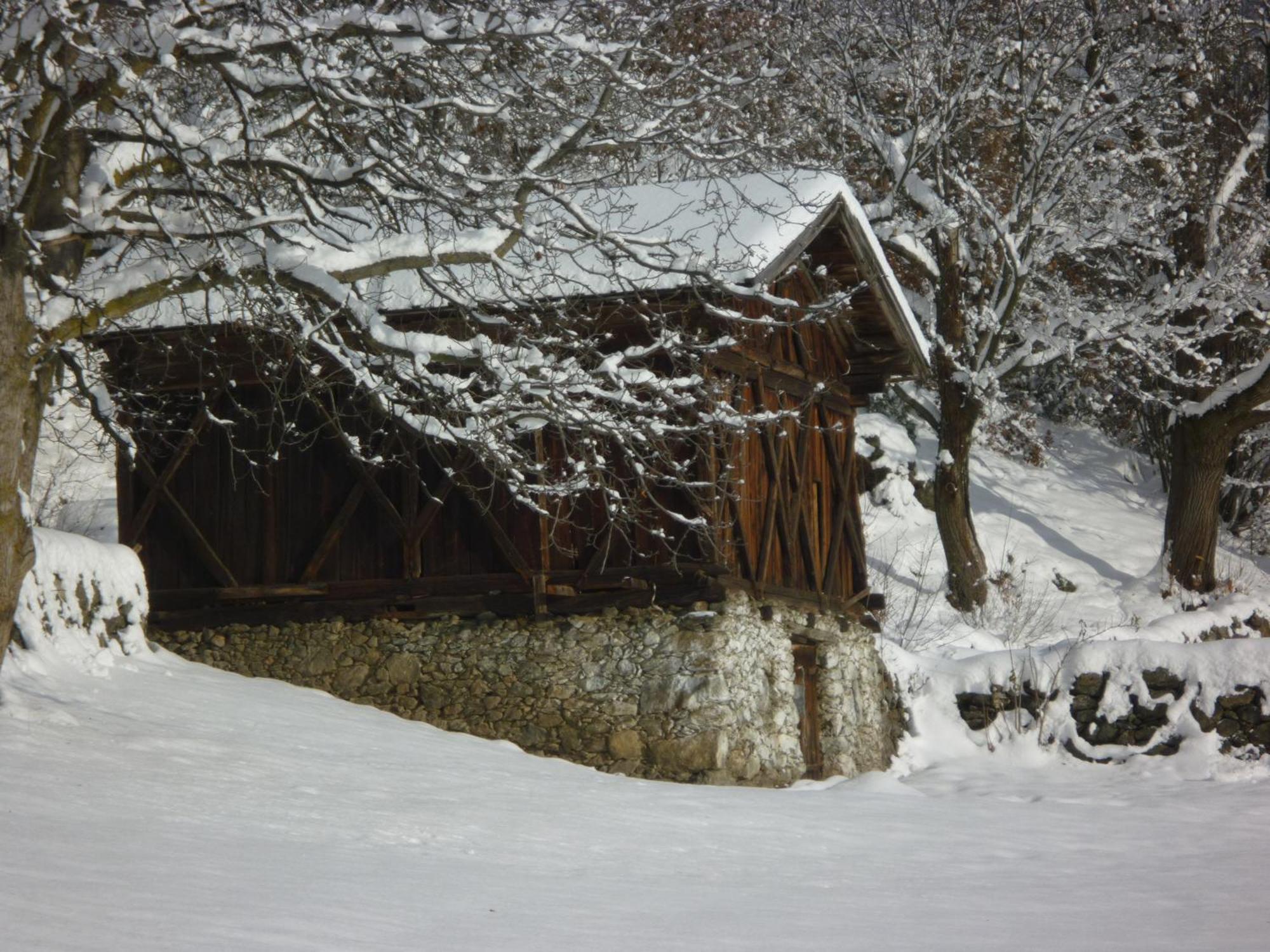 Garni Kircher Sepp Barbiano  Esterno foto