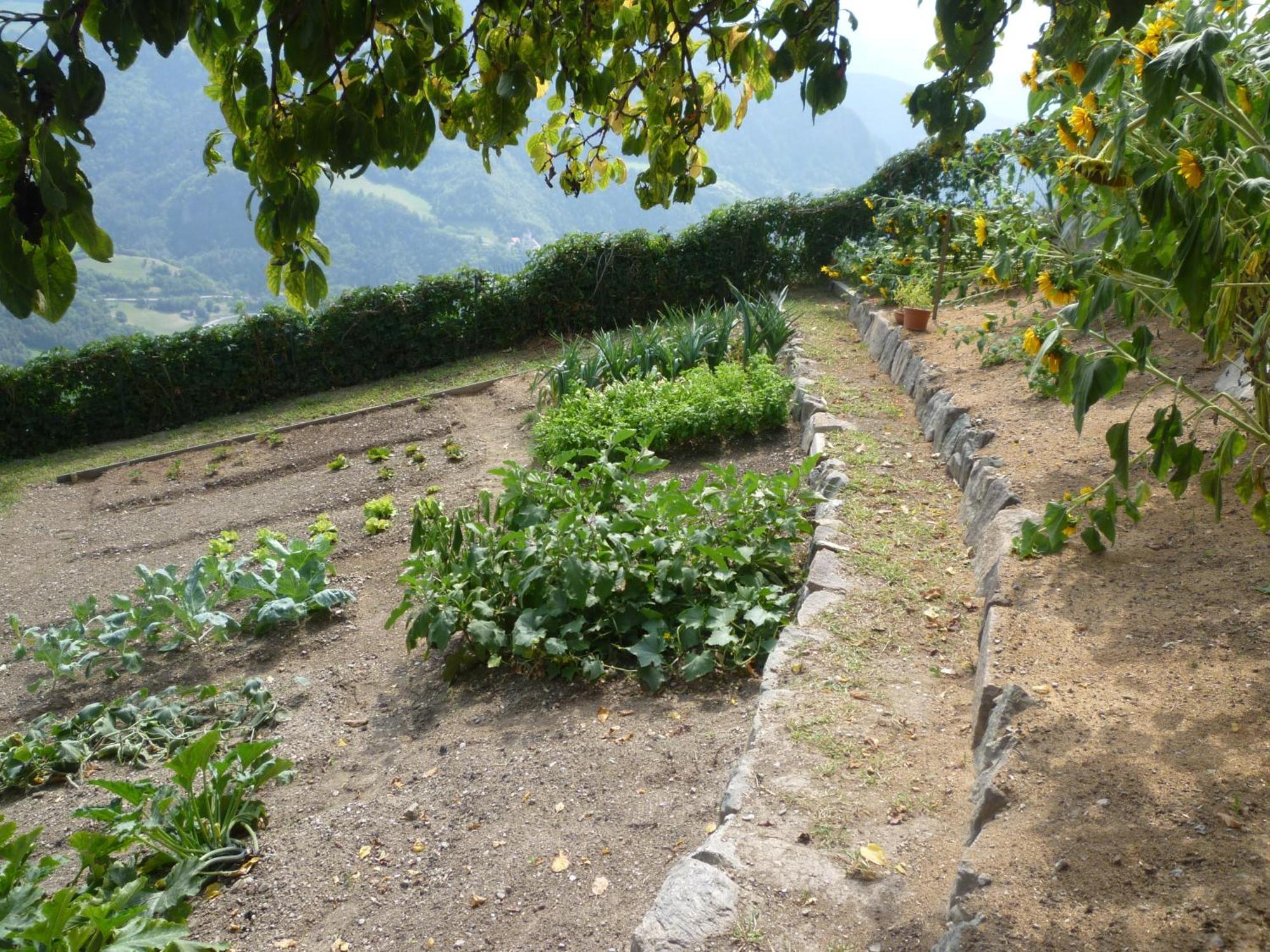Garni Kircher Sepp Barbiano  Esterno foto